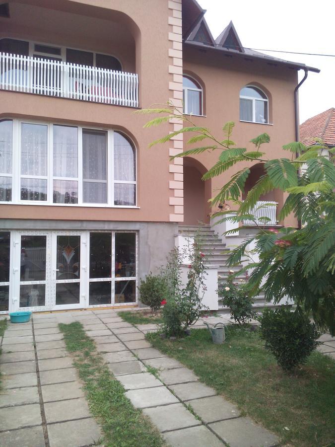 Private House Apartman Beregszász Kültér fotó