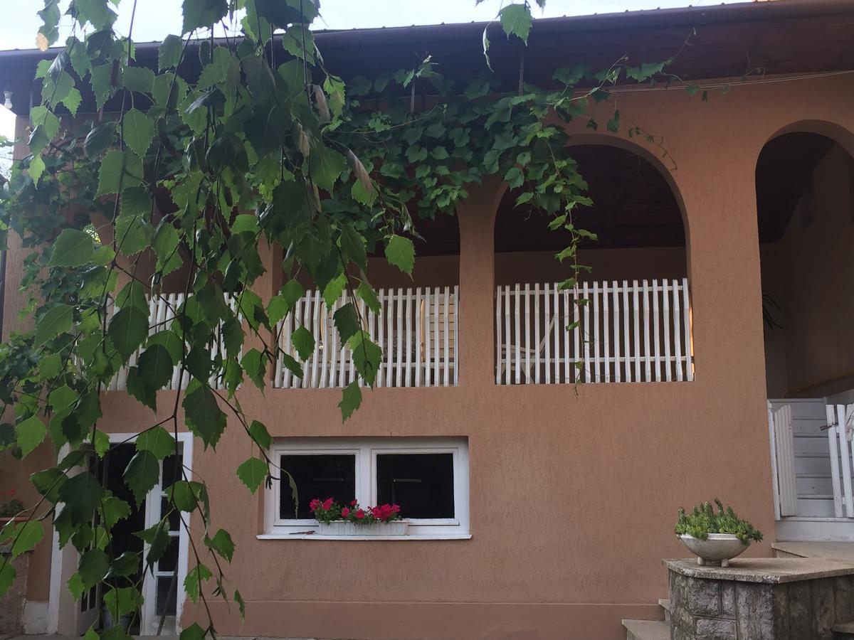 Private House Apartman Beregszász Kültér fotó