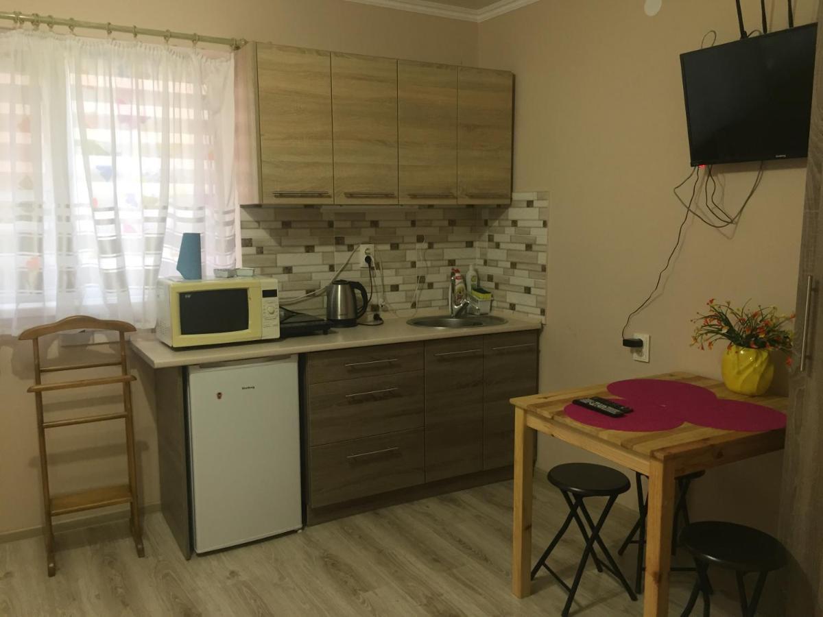 Private House Apartman Beregszász Kültér fotó