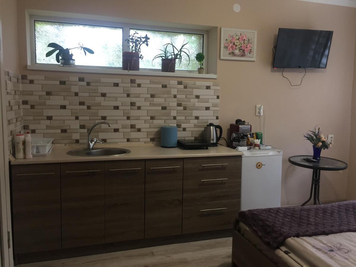 Private House Apartman Beregszász Kültér fotó